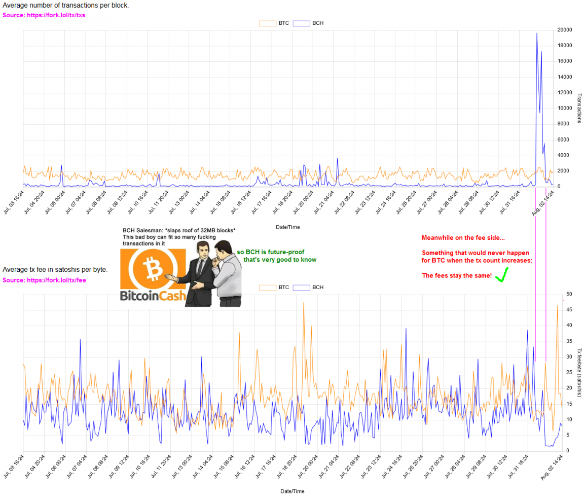 bitcoin bch search transaction