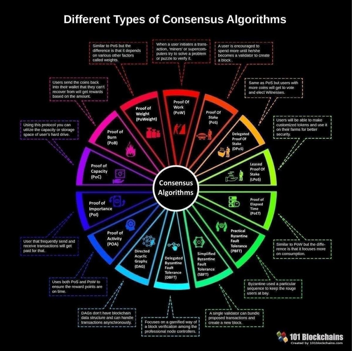 compare all cryptocurrency algorithms